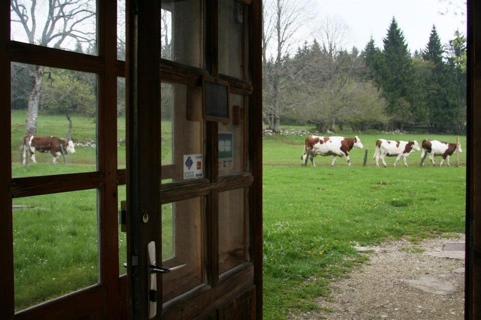 Auberge De La Perdrix Hauterive-la-Fresse Luaran gambar
