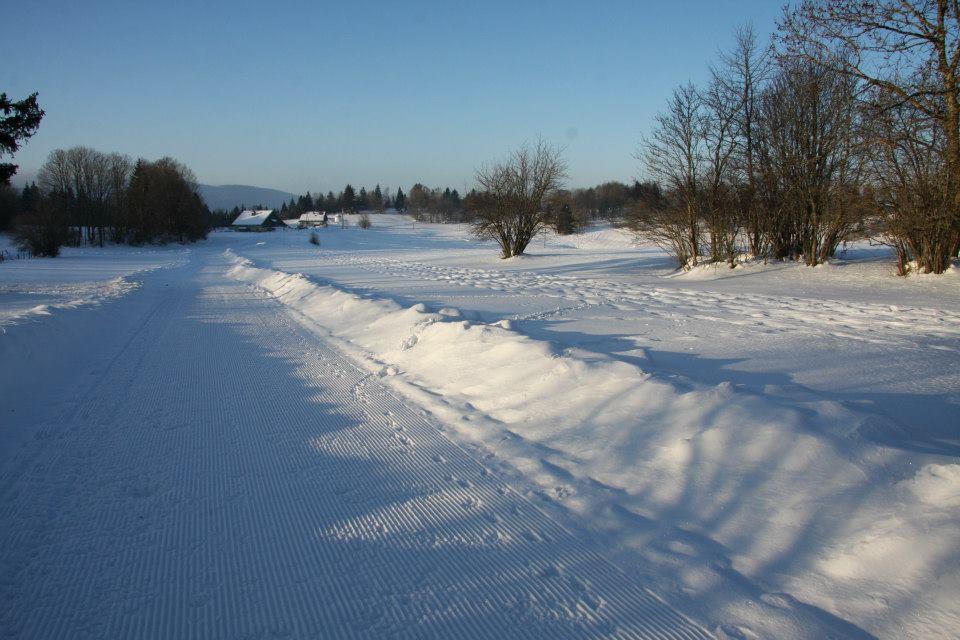 Auberge De La Perdrix Hauterive-la-Fresse Luaran gambar