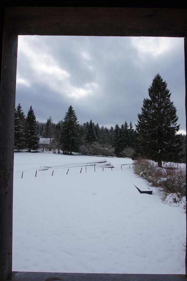 Auberge De La Perdrix Hauterive-la-Fresse Luaran gambar